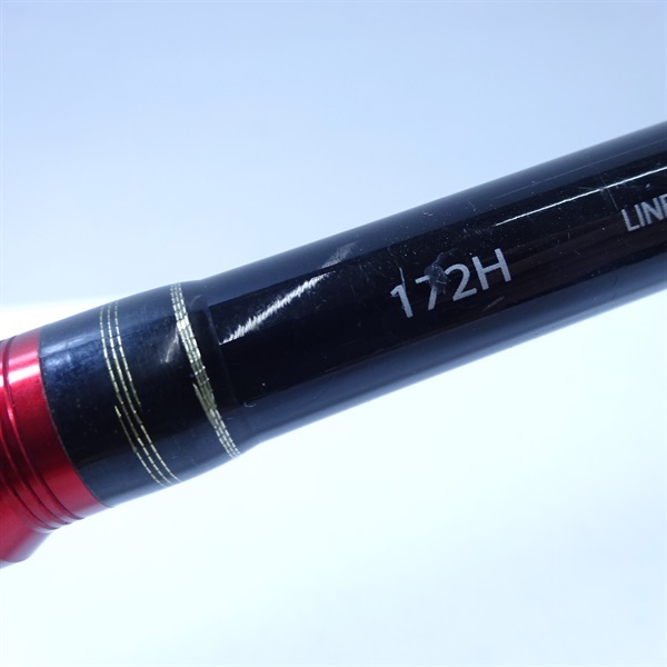 １１ポイズングロリアス１７２Ｈ